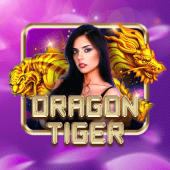 Dragon Tiger live on inplay hn620